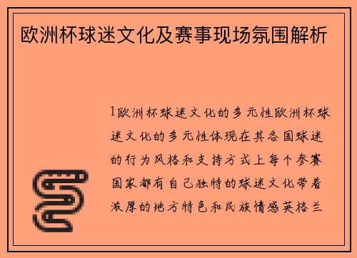 欧洲杯球迷文化及赛事现场氛围解析